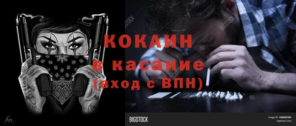 молекула духа Бородино