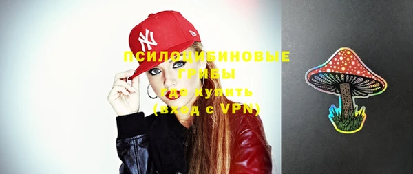 молекула духа Бородино