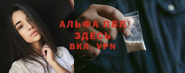 молекула духа Бородино