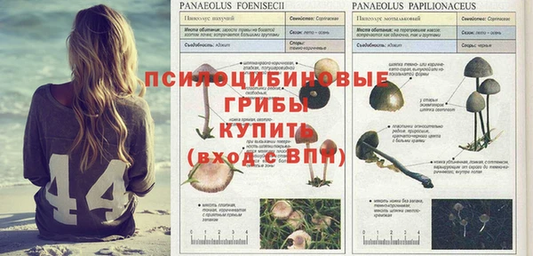 эйфоретик Бугульма