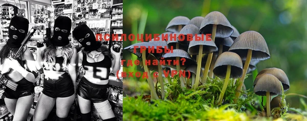 молекула духа Бородино