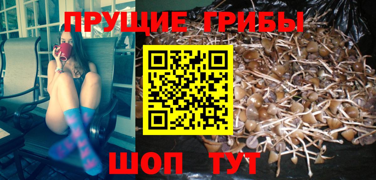 Псилоцибиновые грибы Magic Shrooms  Вход с VPN  Мончегорск  Галлюциногенные грибы ЛСД 