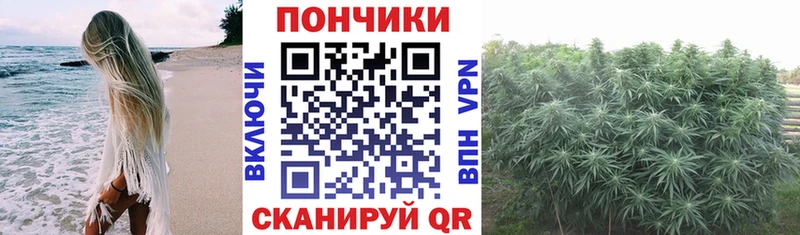 Конопля MAZAR  закладки  Мончегорск 